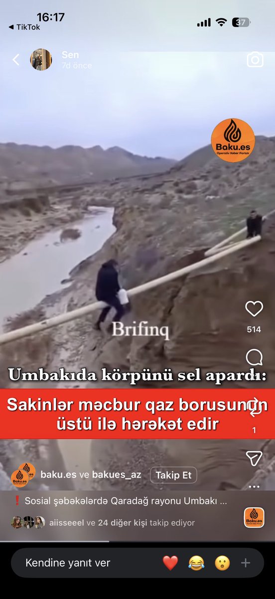 Shabnammee💛 tweet media