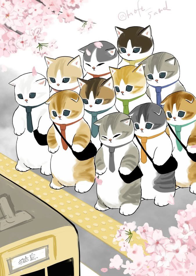 ぢゅの🐈 tweet media