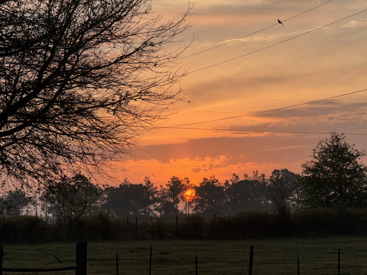 Terry McFadden tweet media