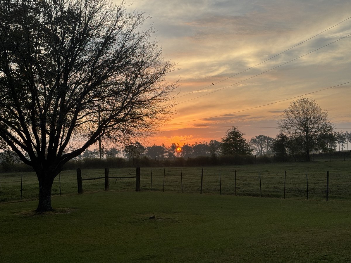 Terry McFadden tweet media