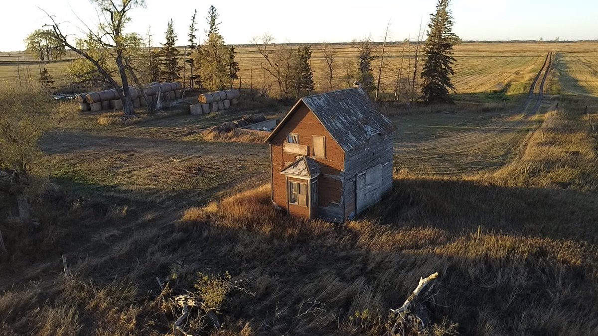 Dylan Bertholet tweet media