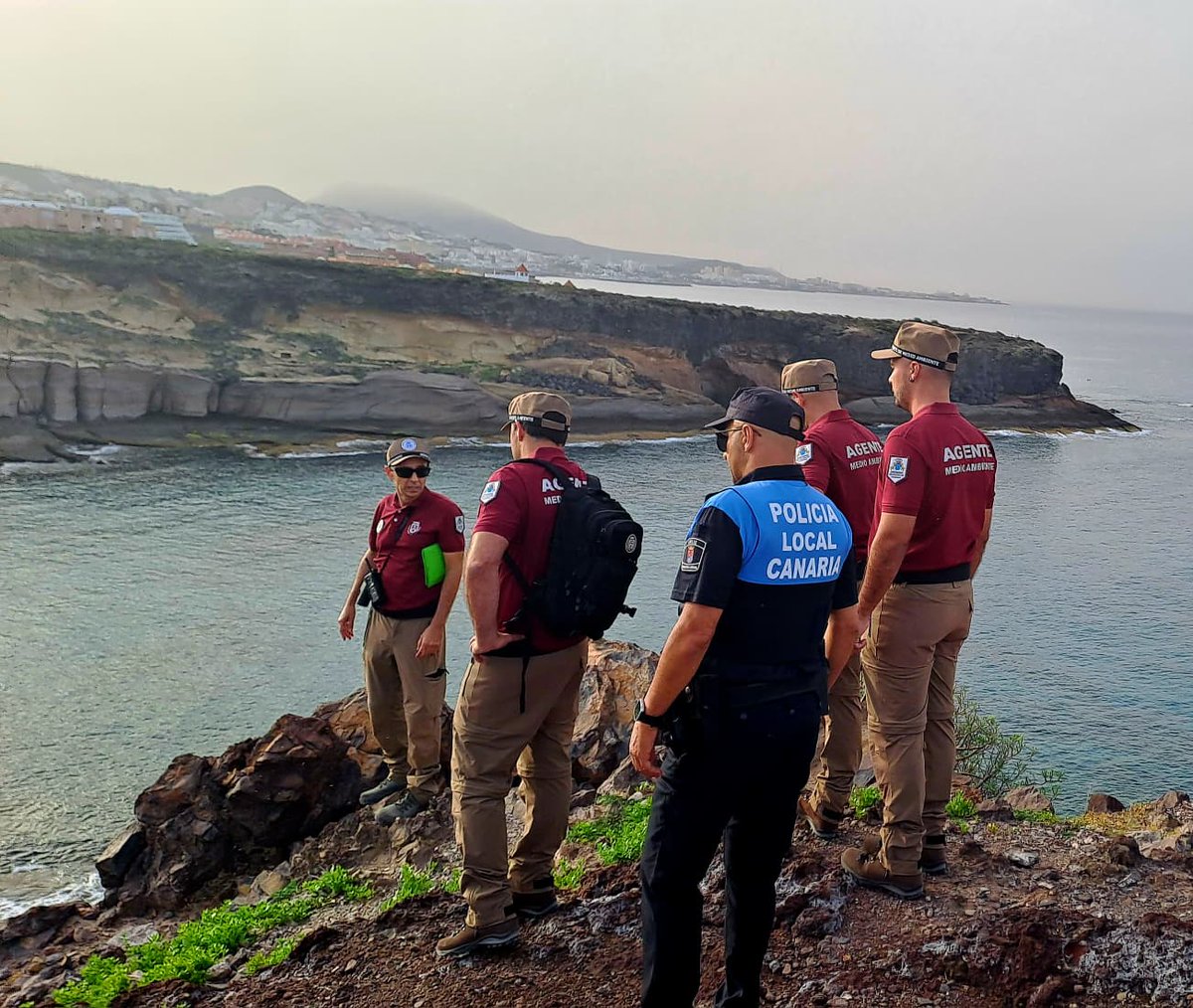 Cabildo de Tenerife tweet media