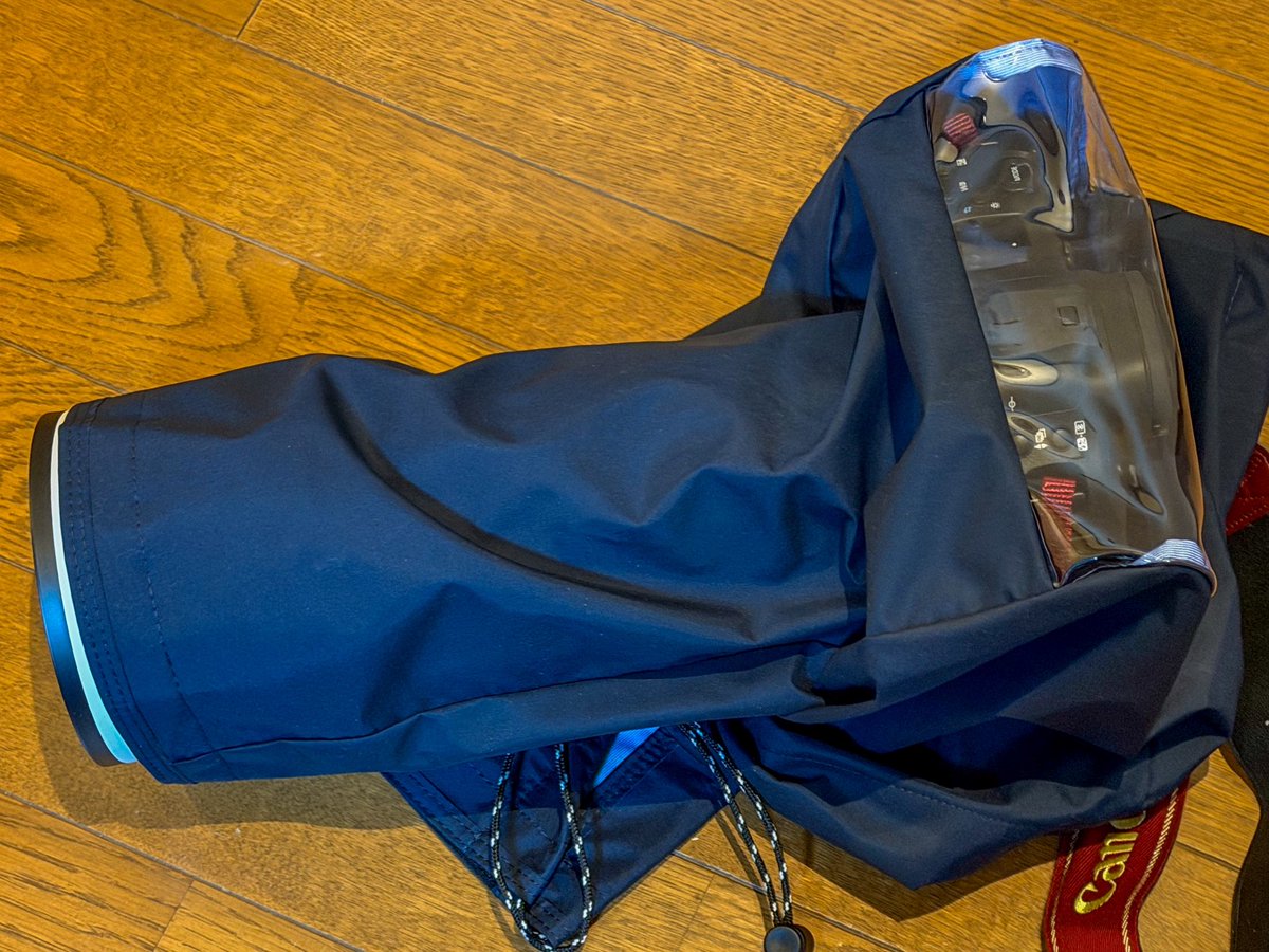 すももやさん@旅人 tweet media