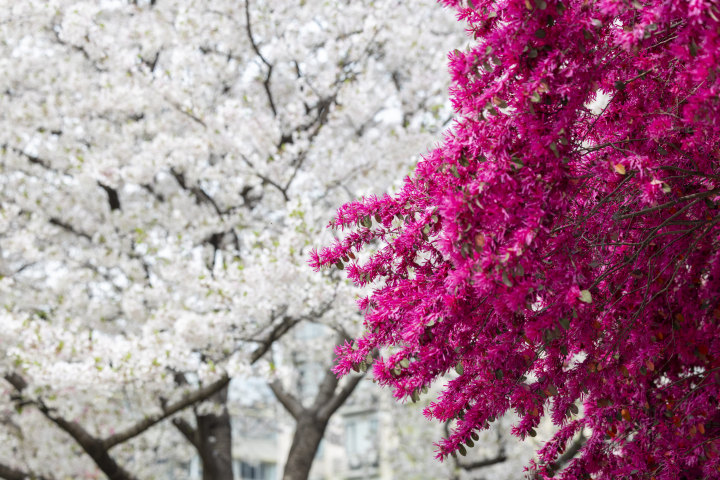 Hangzhoufeel tweet media