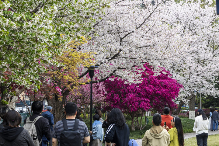 Hangzhoufeel tweet media