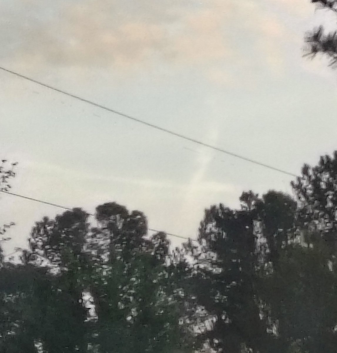 Gavin Campbell tweet media