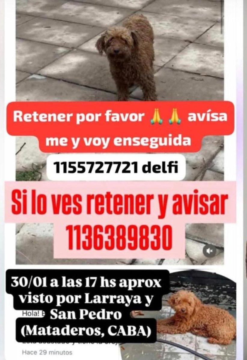 Beto Valdez tweet media