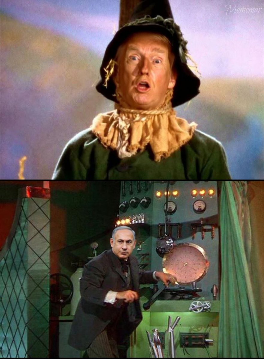 BarkinBoss 🇺🇸 tweet media