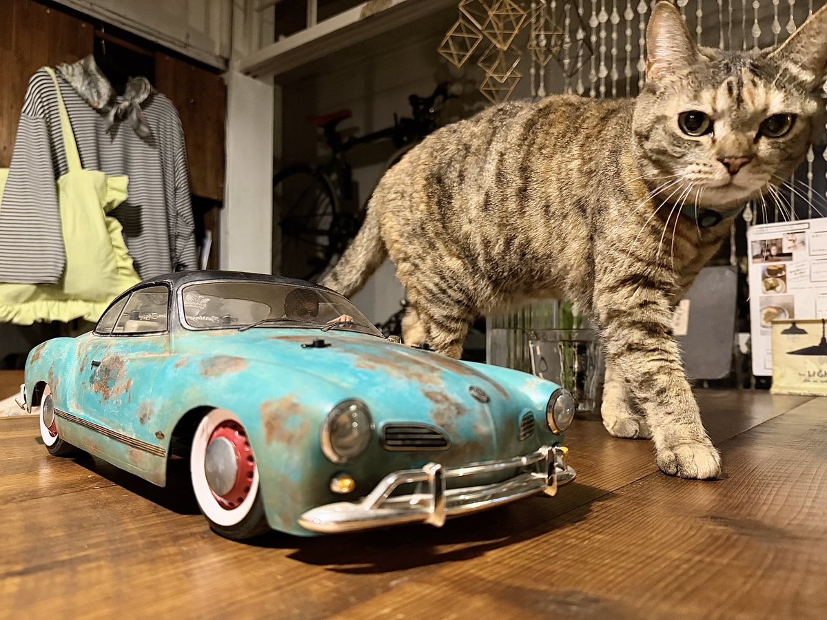 力トウ コバン@BUYCO tweet media