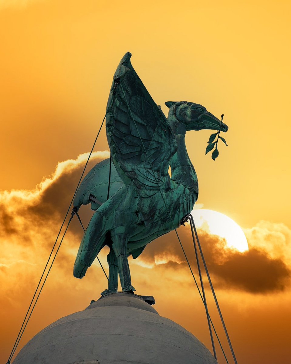 Branko Vukoslavovic tweet media