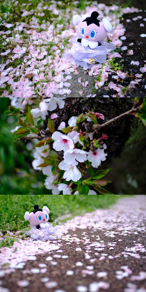 ぴんこす tweet media