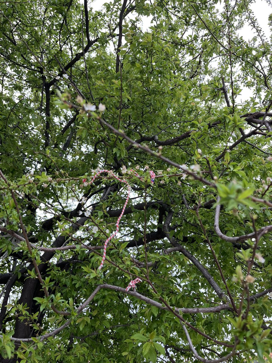 leyleği göremedik hahaksjsjsk