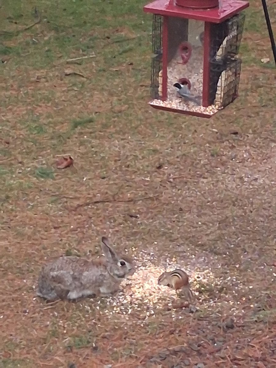 deborahblake tweet media