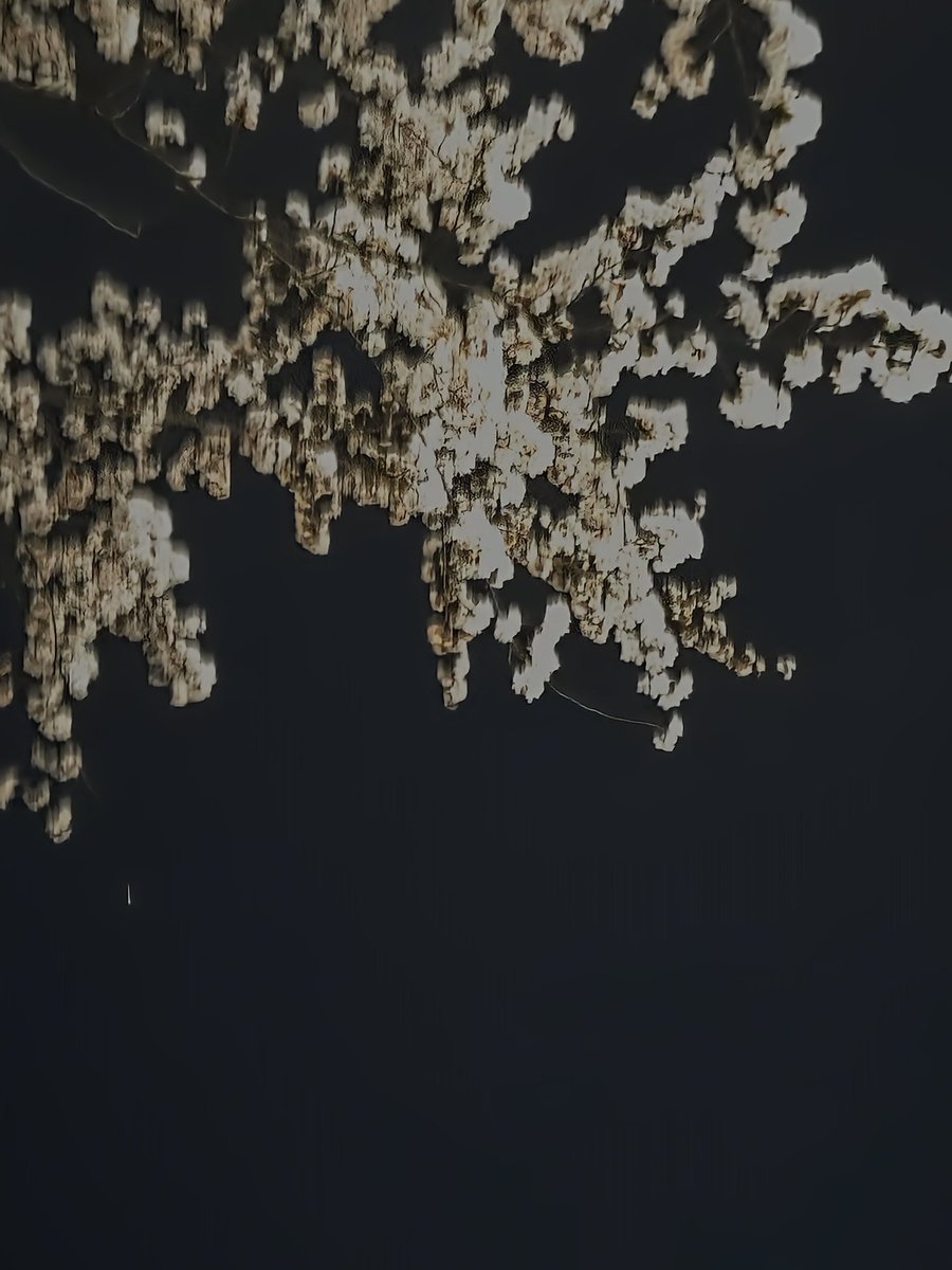 이디'◡' tweet media