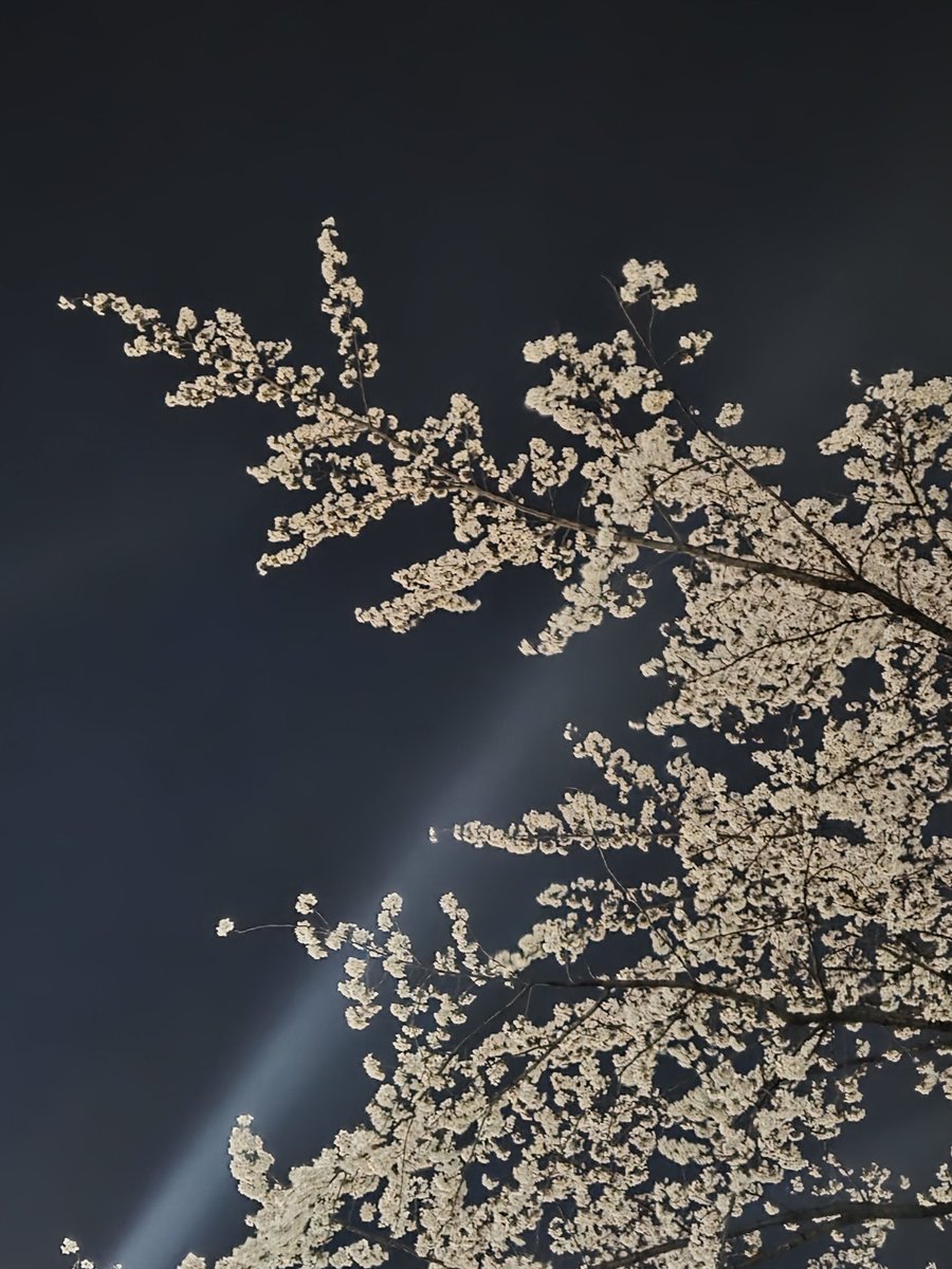 이디'◡' tweet media