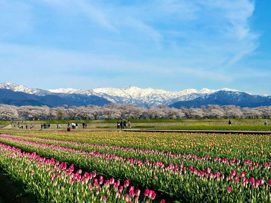 民泊たなごころ tweet media