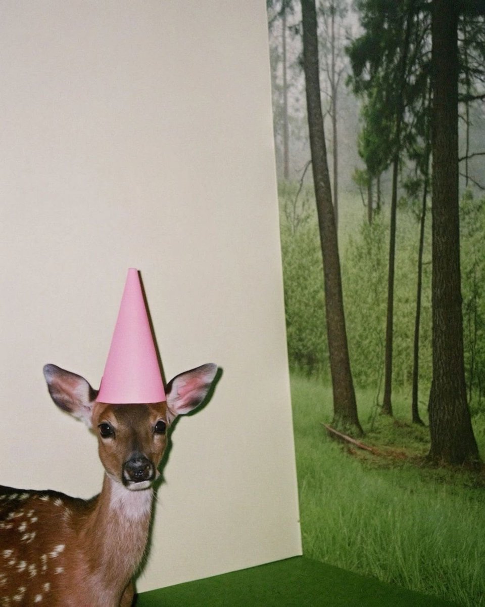 inspéra tweet media