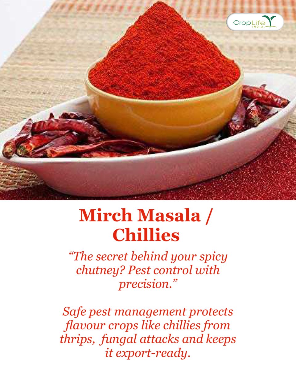 CropLifeIndia's tweet image. Safe pest management ensures healthier plants, higher yields and export-ready produce that meets global standards, which is helpful for farmers across the country.

#ChilliFarming #PestControl #CropLifeIndia #SustainableAgriculture #SpicyHarvests