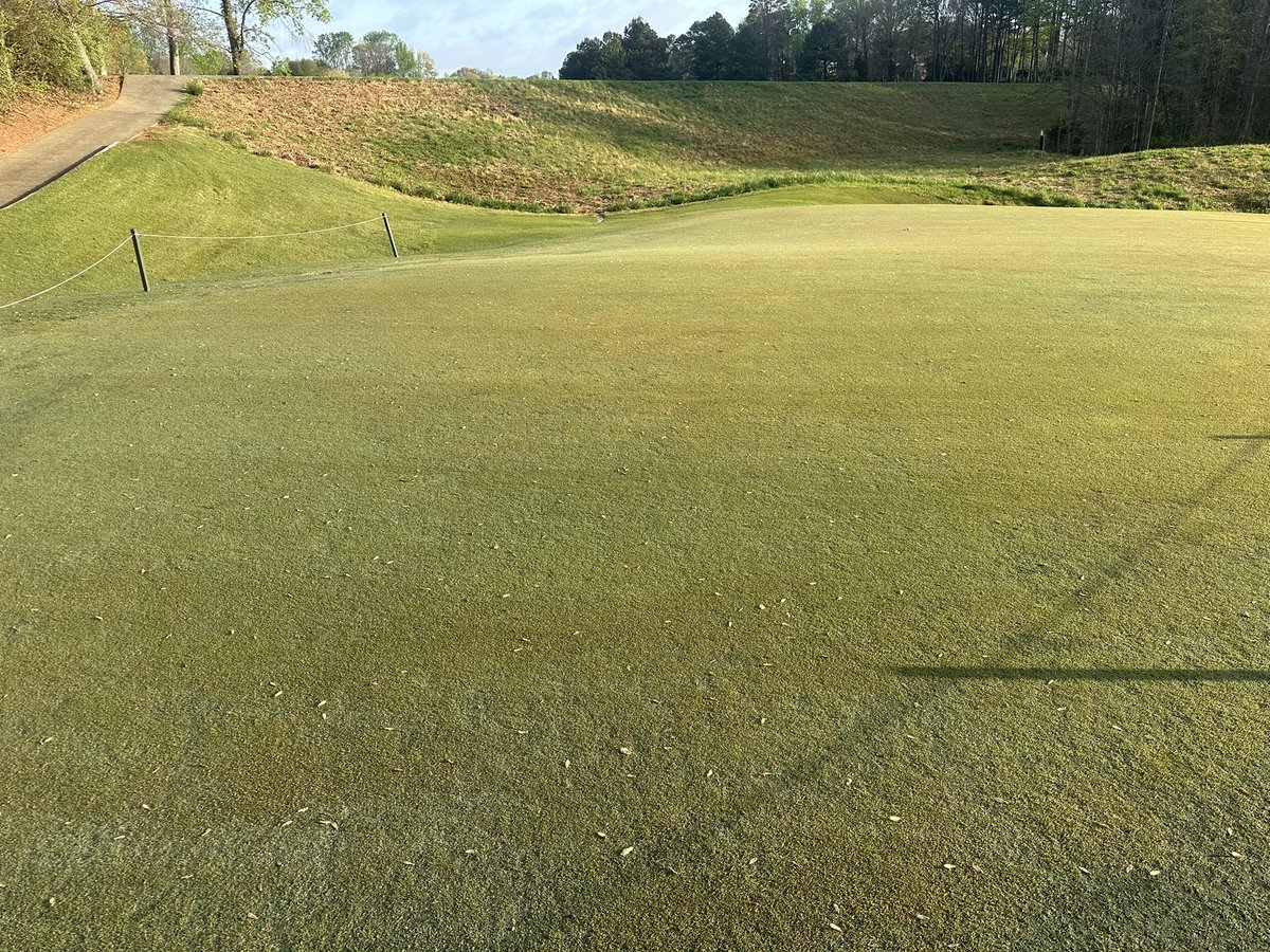 Daryck Beetham tweet media