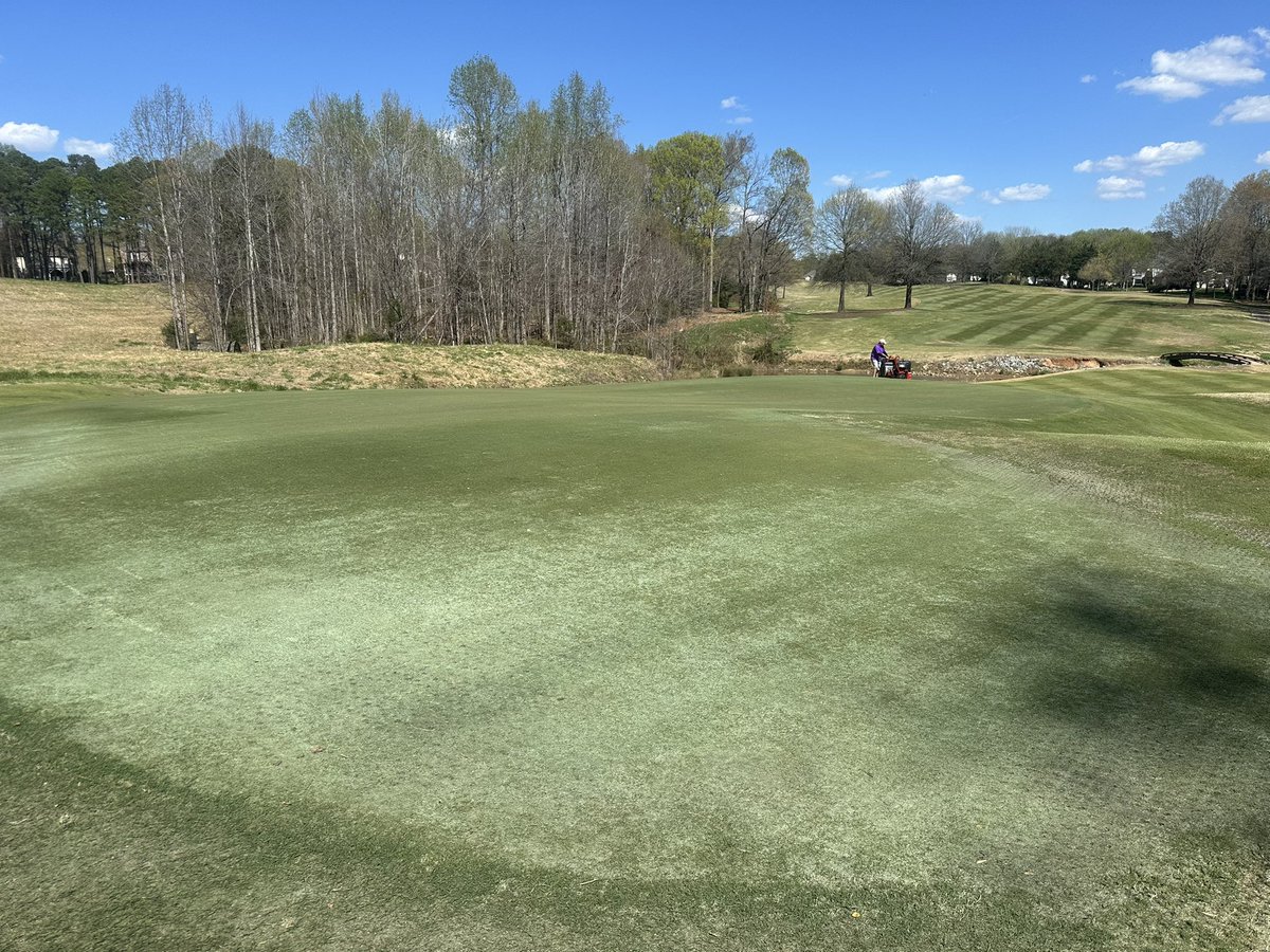 Daryck Beetham tweet media