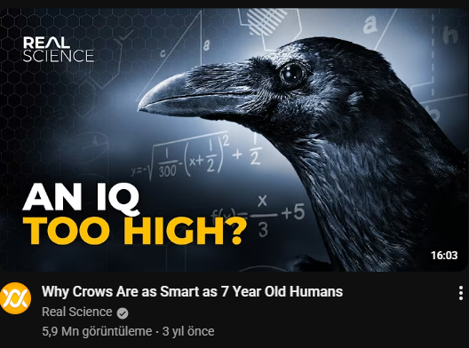 AlevlaTR tweet media