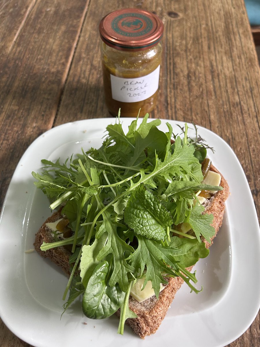 🌱Hello, I'm Mark tweet media