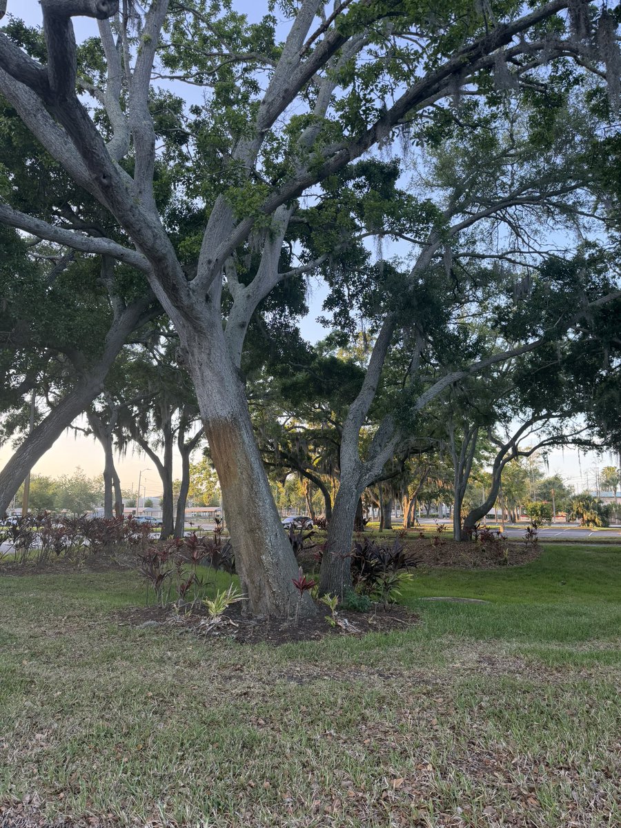 RJ-trader tweet media