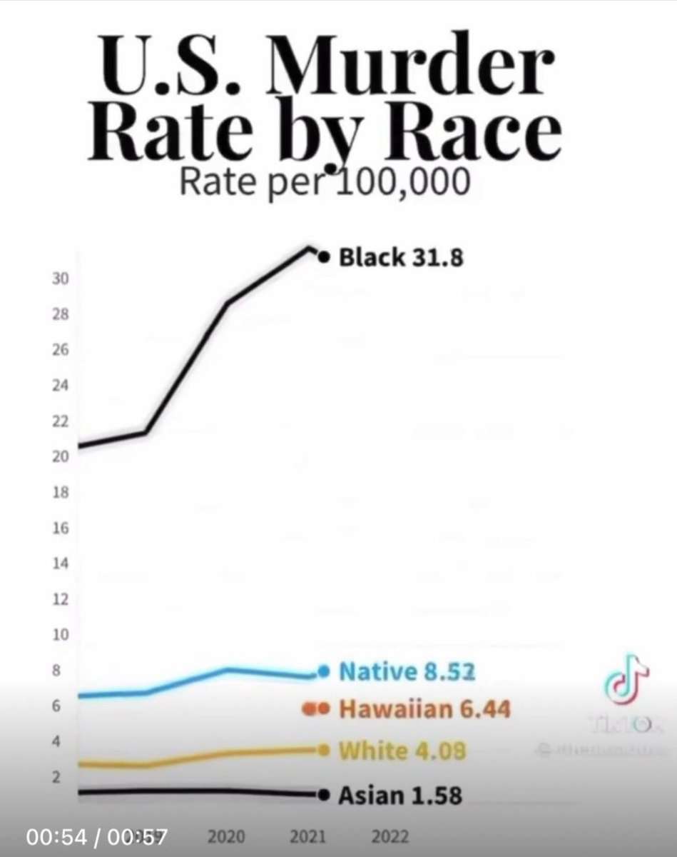 Otto Guy Nophelia tweet media