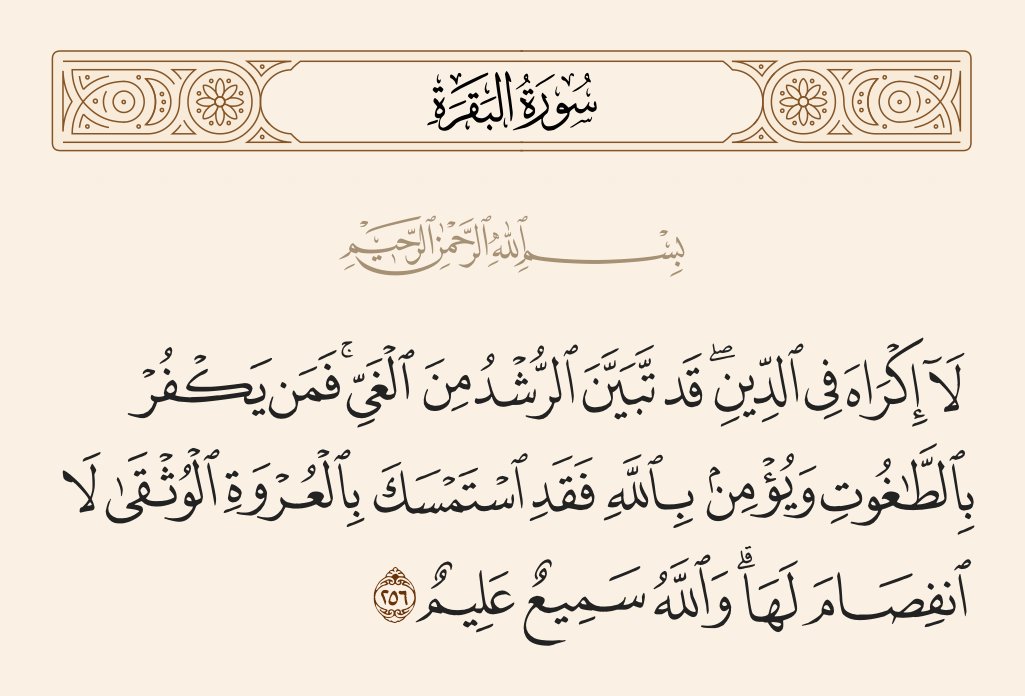 xfjki000 tweet media