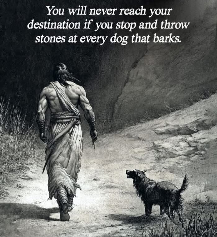 MasculineCode tweet media