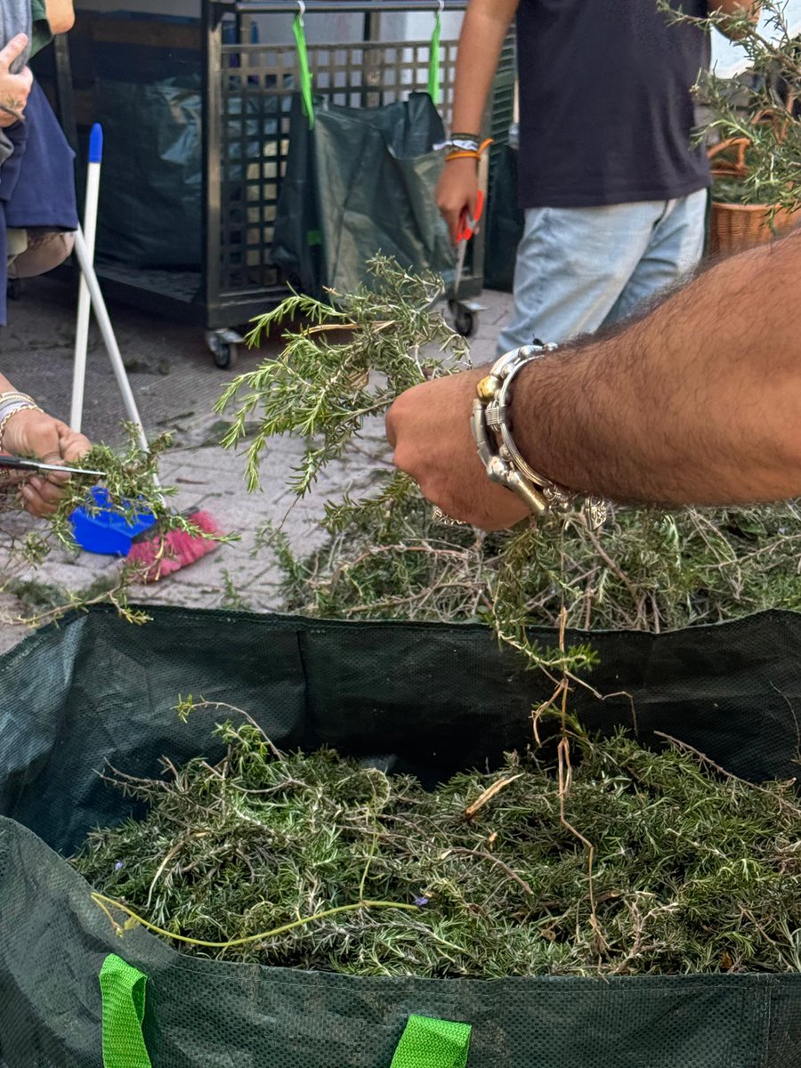 Esperanza de Málaga tweet media