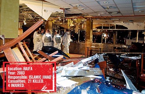 Erected Official🇯🇵🇺🇸 tweet media