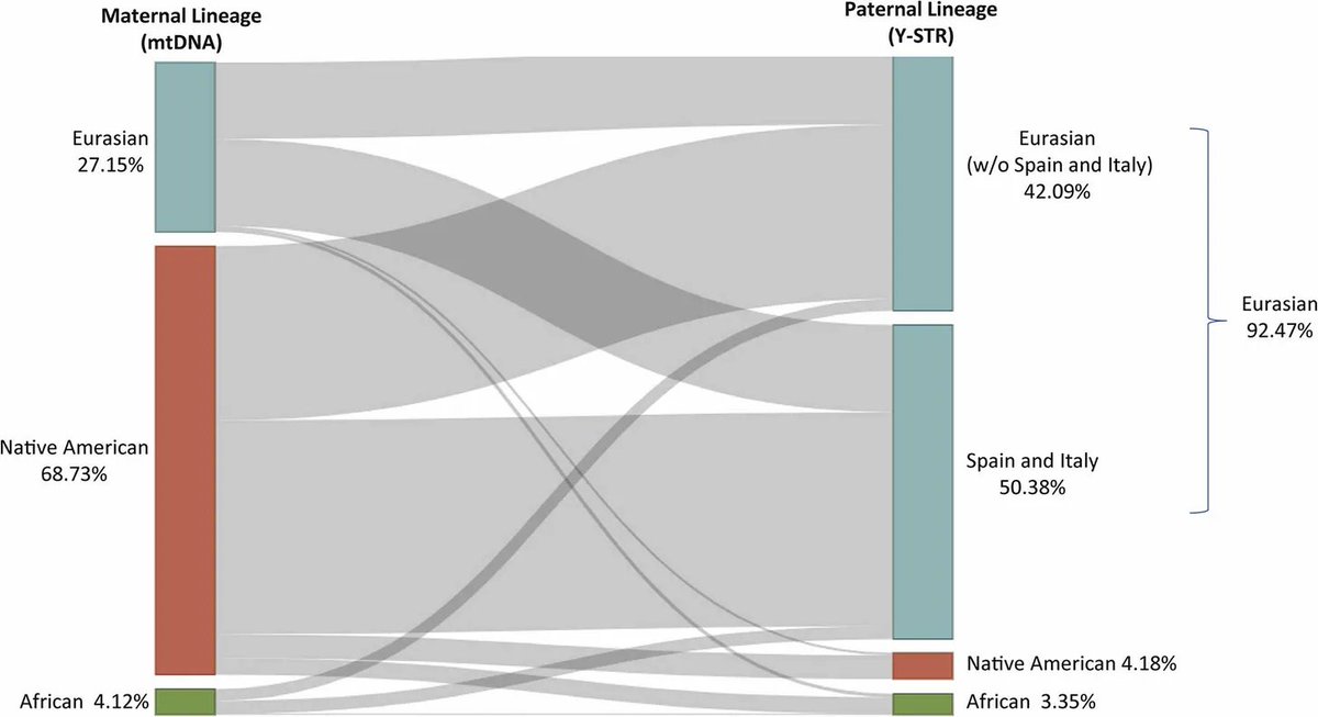 arctotherium tweet media