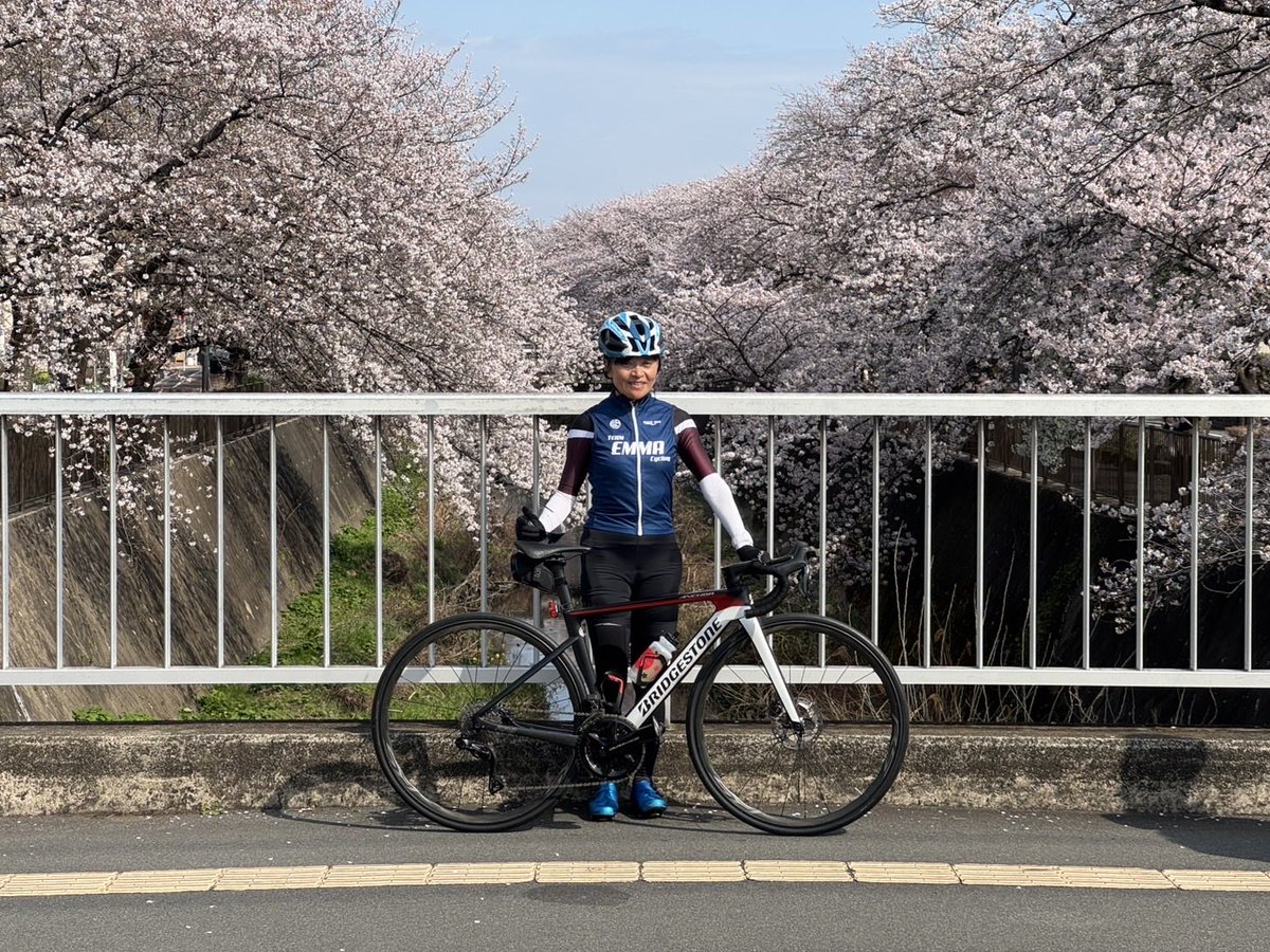 Keiko Sugiura tweet media