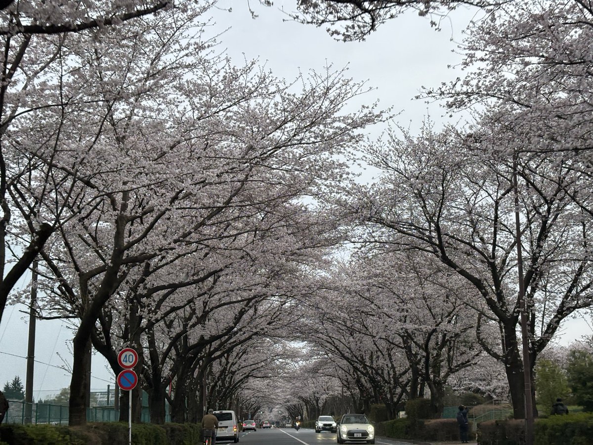 Keiko Sugiura tweet media