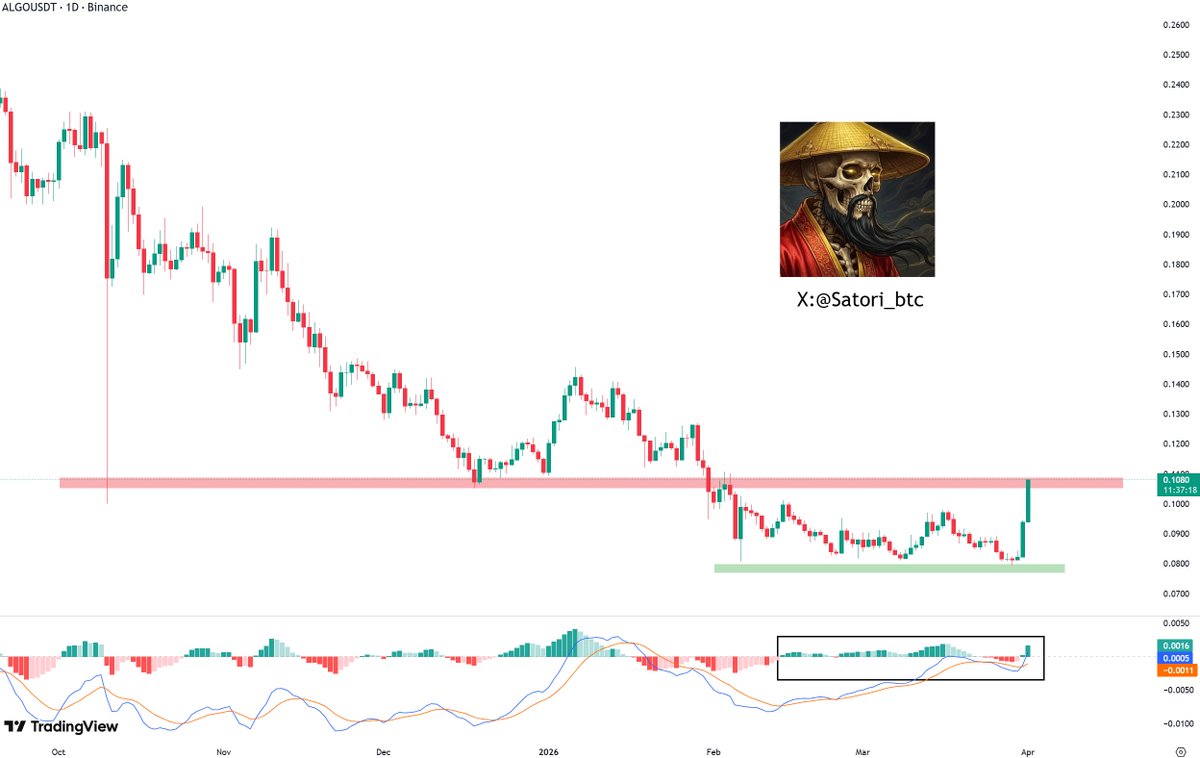 Satori 🎴 💀 tweet media