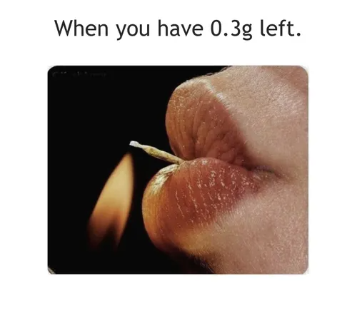 London Seed Centre tweet media