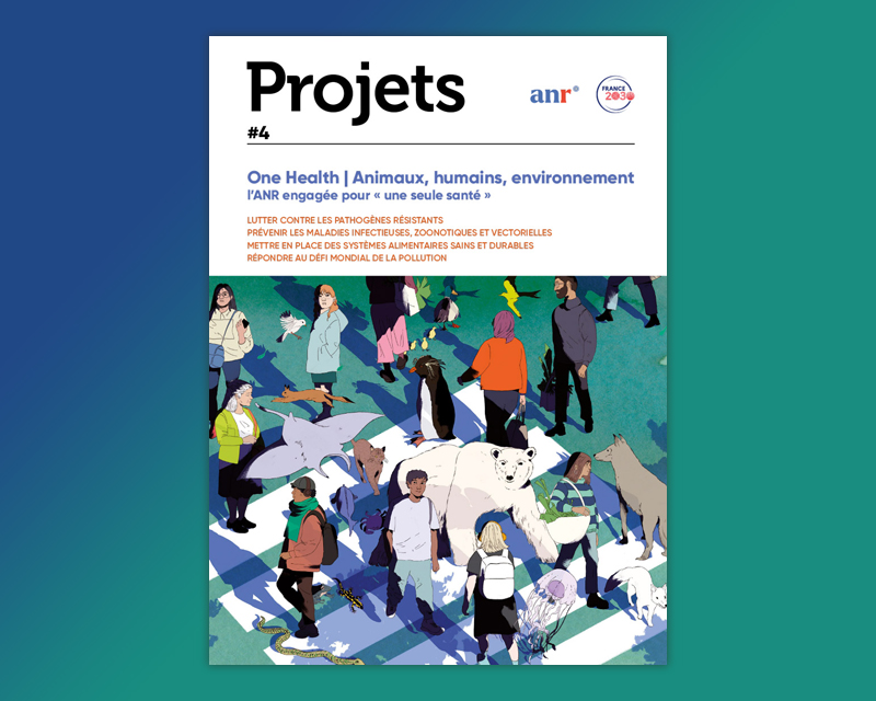 PROMISE - Professional community network on AMR tweet media