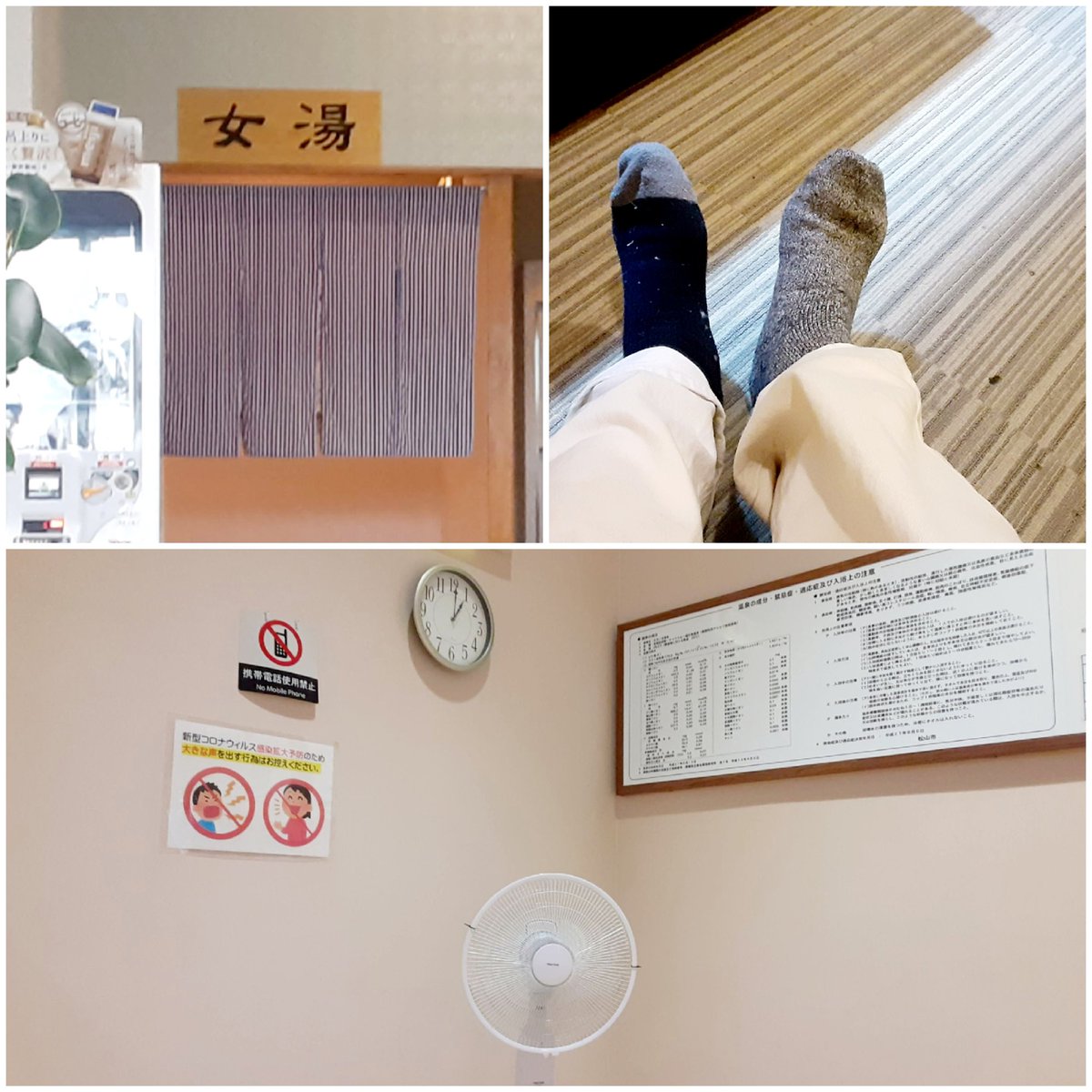 にゃんこ先生 tweet media