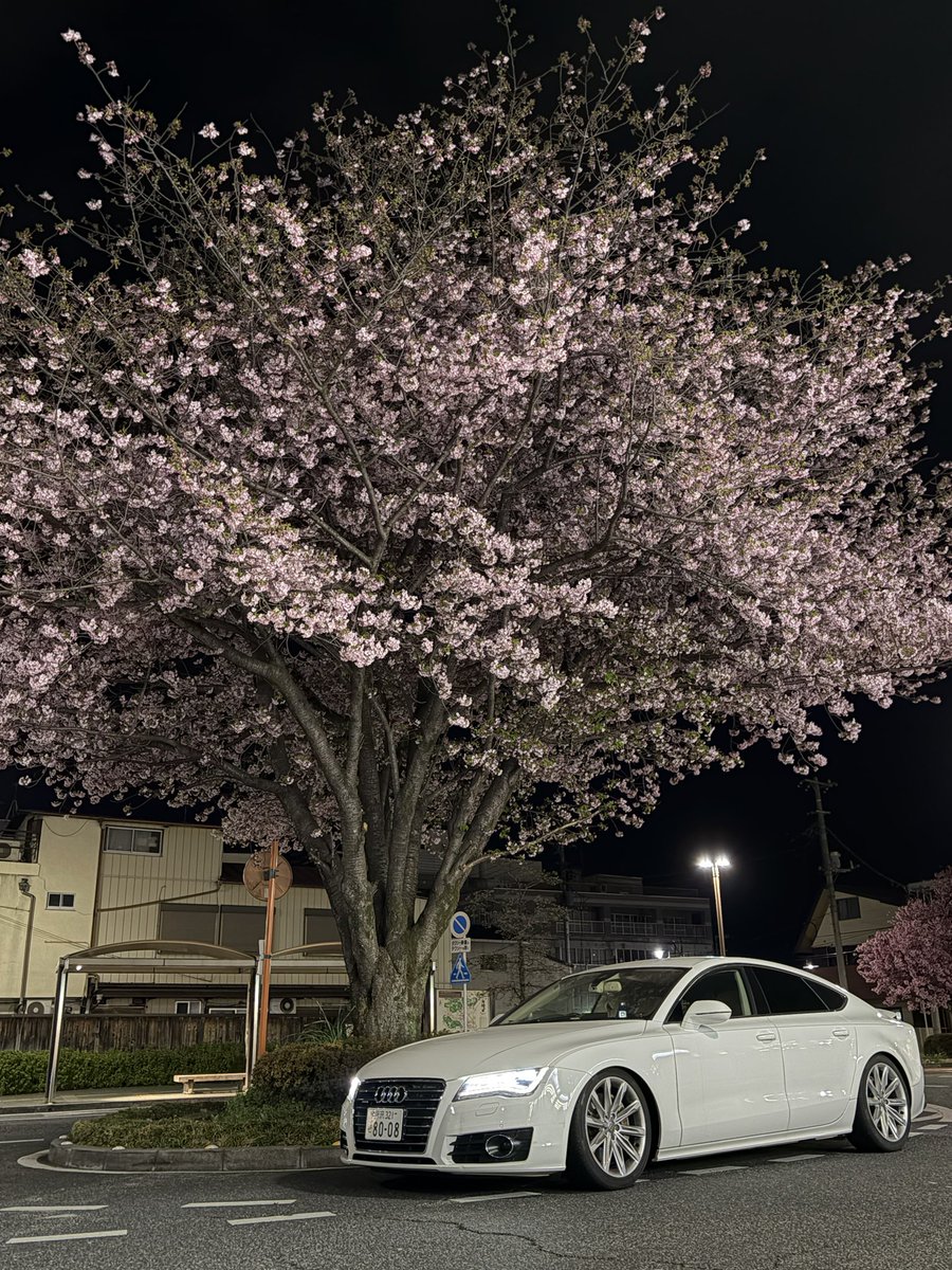 桜×A7
弄るところも直すところも手付かずでごめんよ😢