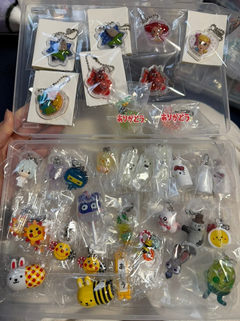 ちょこぼーる．♡ tweet media