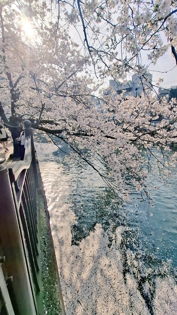 リイコ tweet media