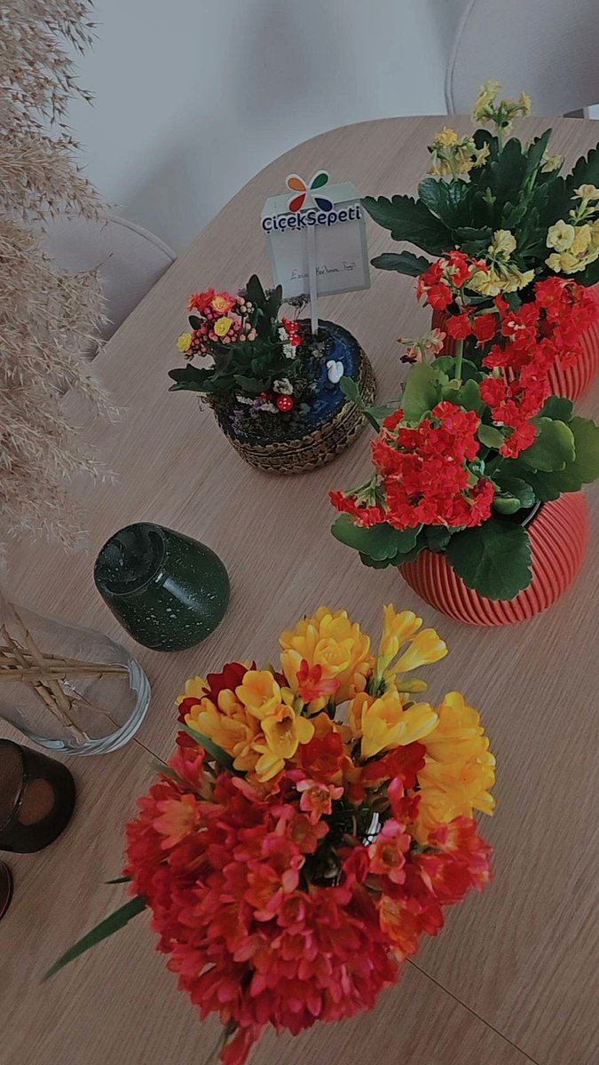 krkmzesin's tweet photo. mutlu hissettiriyor  🌸 https://t.co/uPptzc8UgY