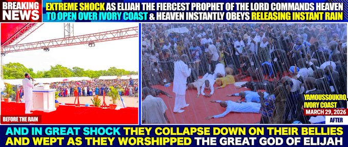 Irene Odero tweet media