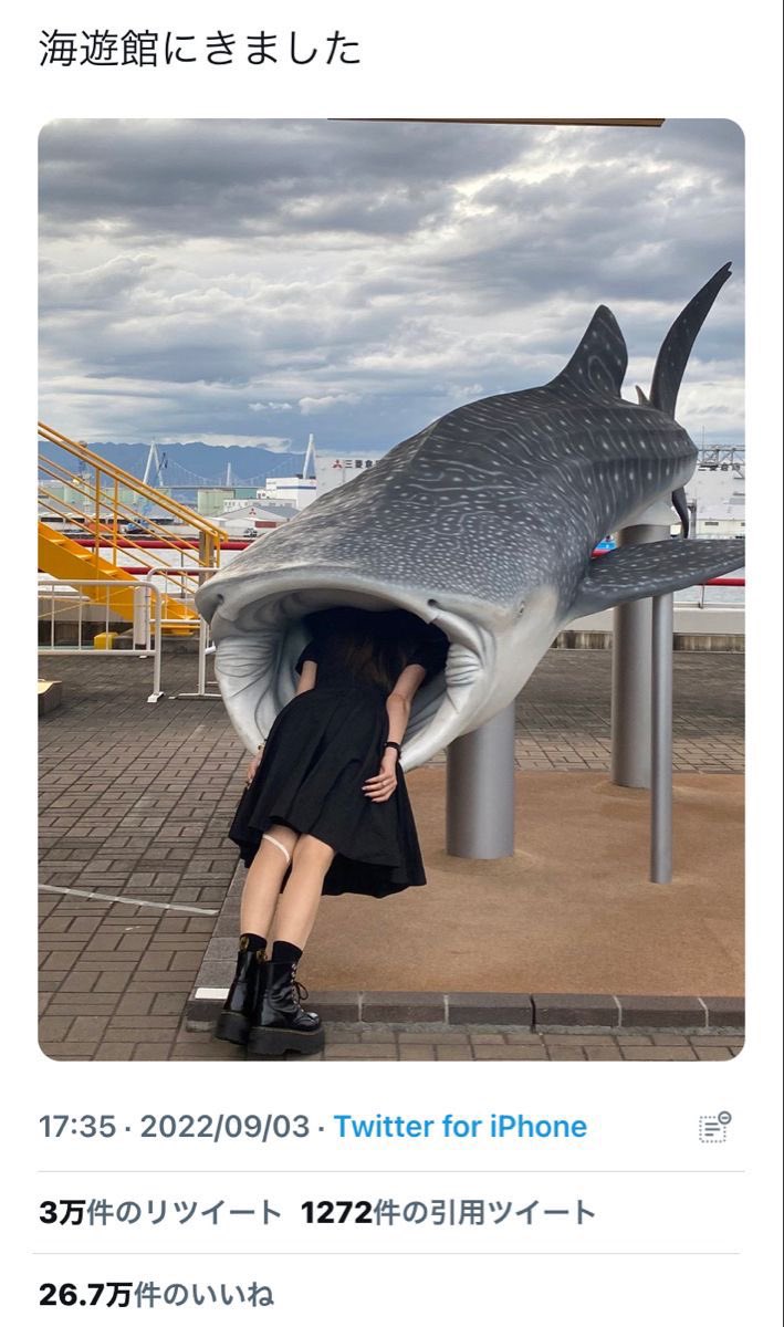 忘れられない動画 tweet media