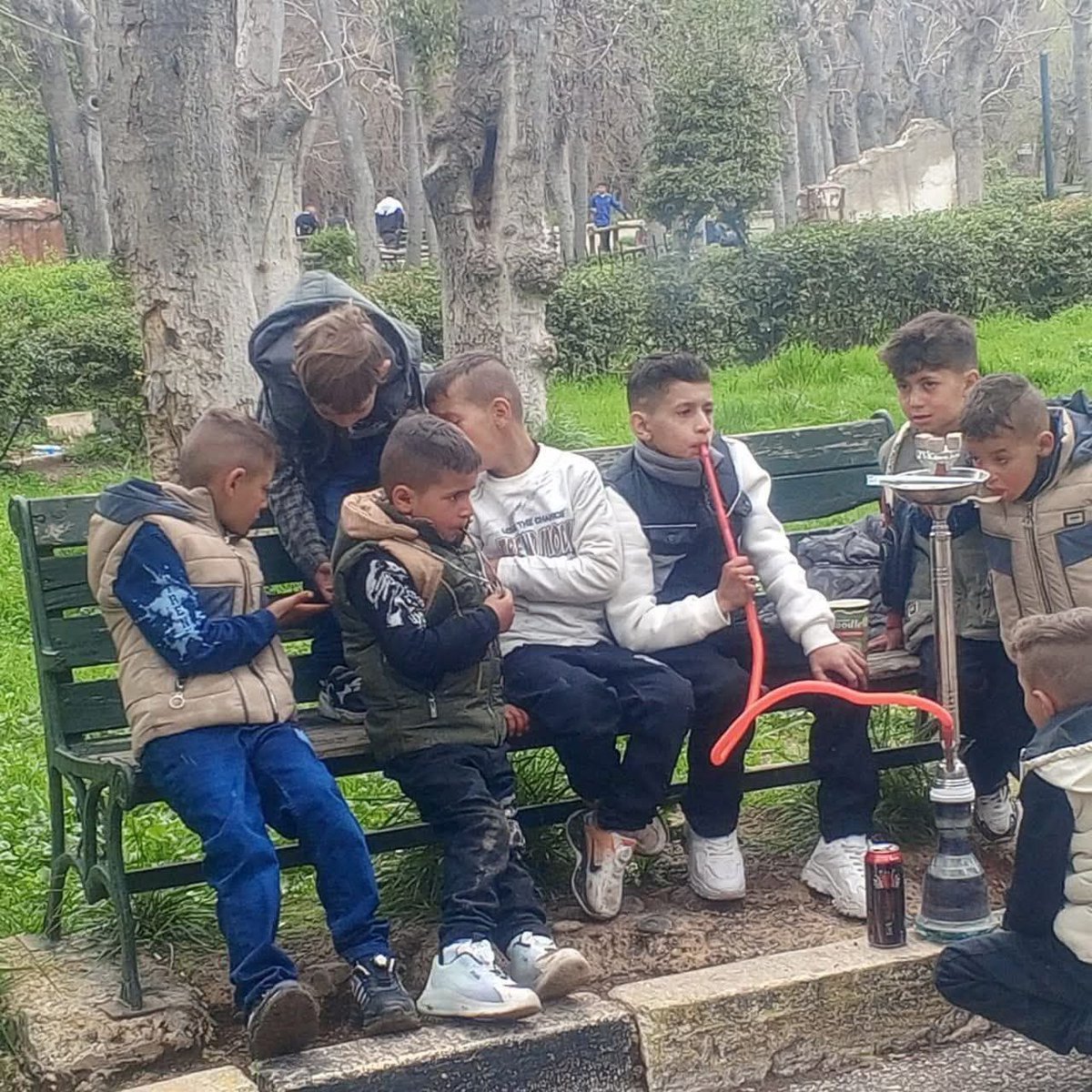 همام عيسى tweet media