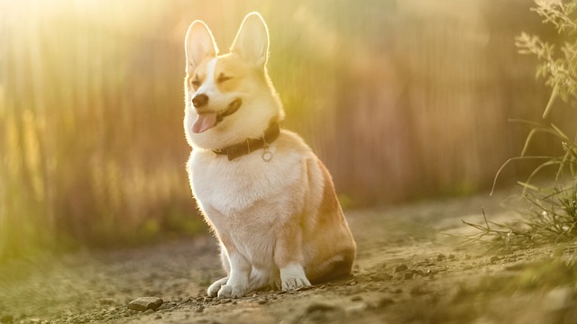 Yvette Breitkopf tweet media