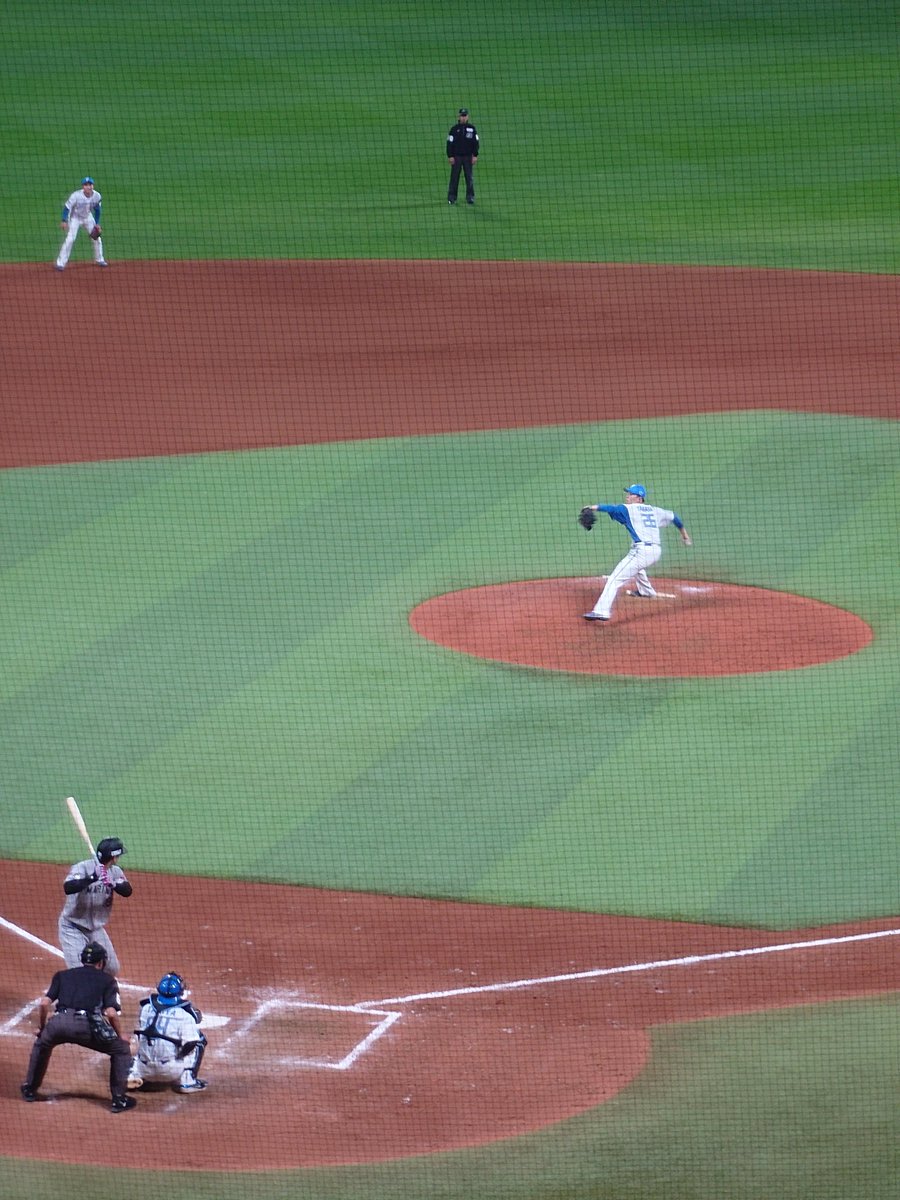 よつにゃん@3/31-4/3エスコン🦊 tweet media