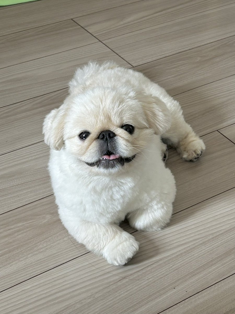 けばぶ tweet media