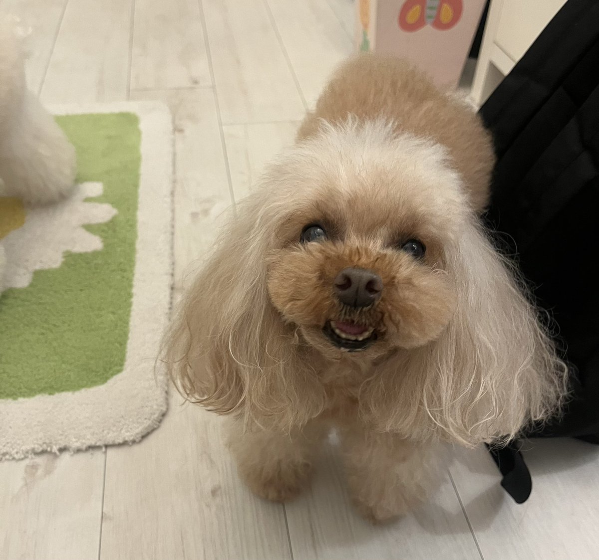 tpiy91's tweet photo. にひ https://t.co/Ln22u8hZiO